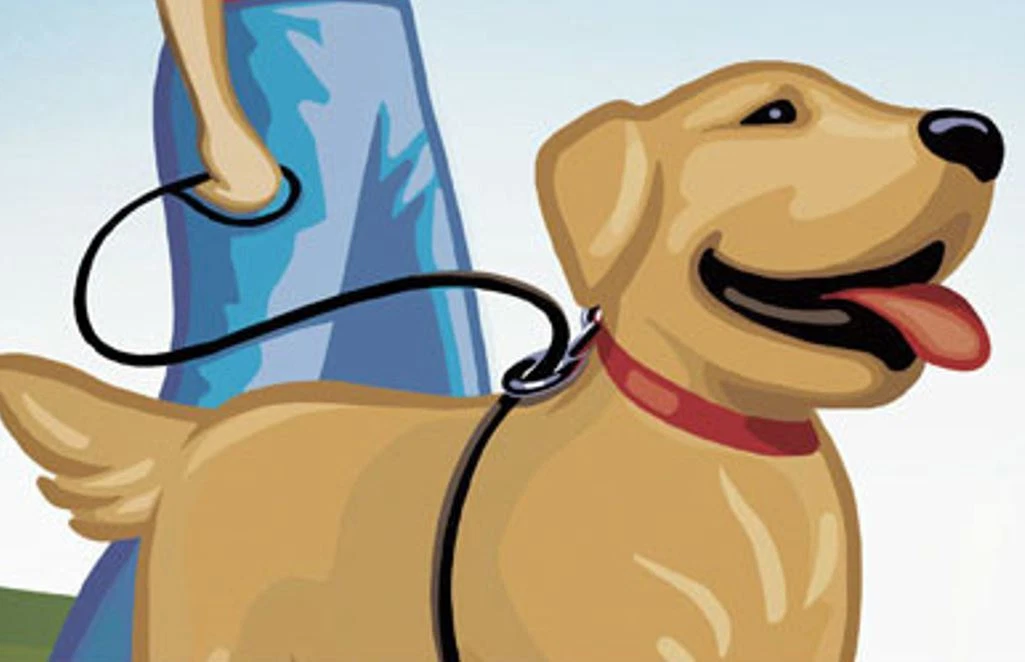 Best dog leash clearance ever