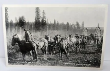 RPPC Big Wheel Horse Team Logging 1890's Eastman Studios c1950s Repro B-2035
