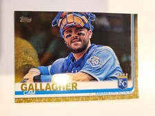2019 Topps Gold #666 Cam Gallagher /2019 Royals