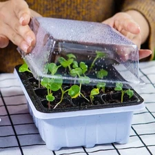 12 Hole Seed Starter Tray Plant Grow Box Nursery Pot Greenhouse Seedling Tray US