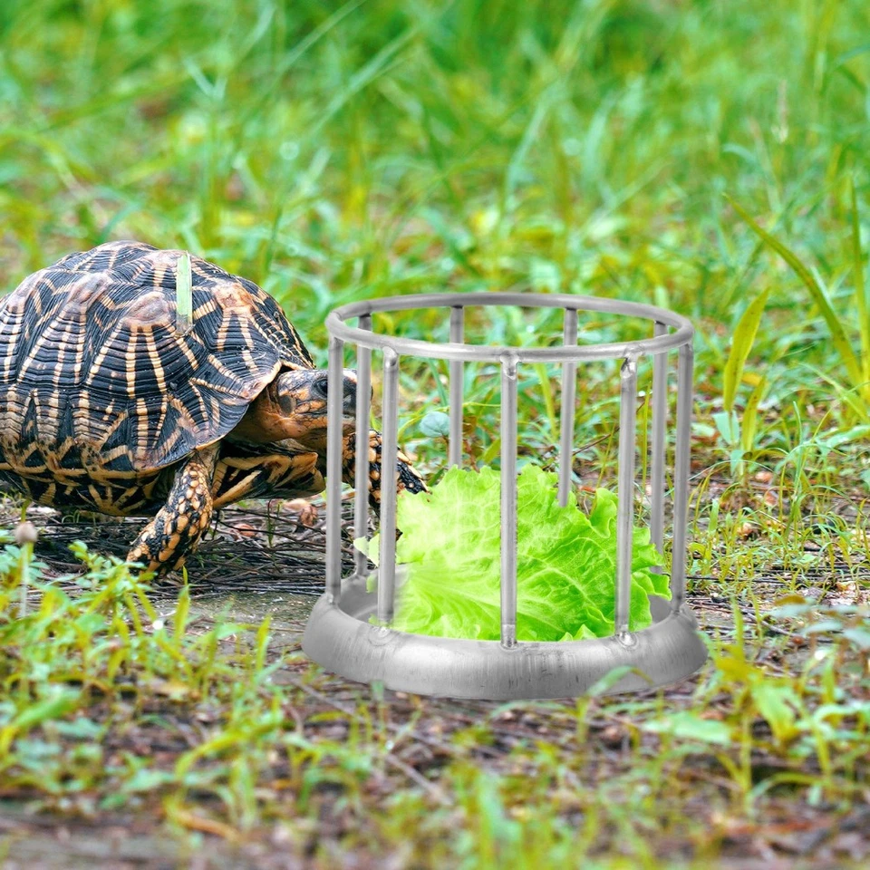 Bac À Eau Pour Tortue Plat D'alimentation Tortues Bol De Nourriture - Photo 3/4
