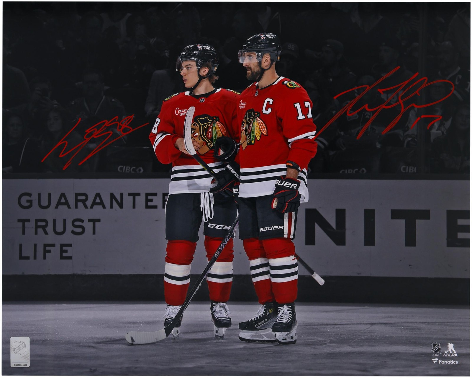 Connor Bedard Autographed Signed Chicago Blackhawks & Nick Foligno 16x20 Red Spotlight Photo 