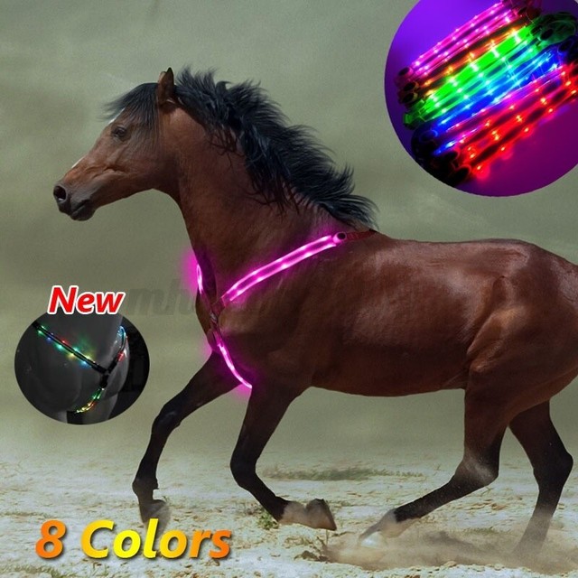 Safe Horse Harness Breastplate Nylon Breast Collar Lights Dual LED