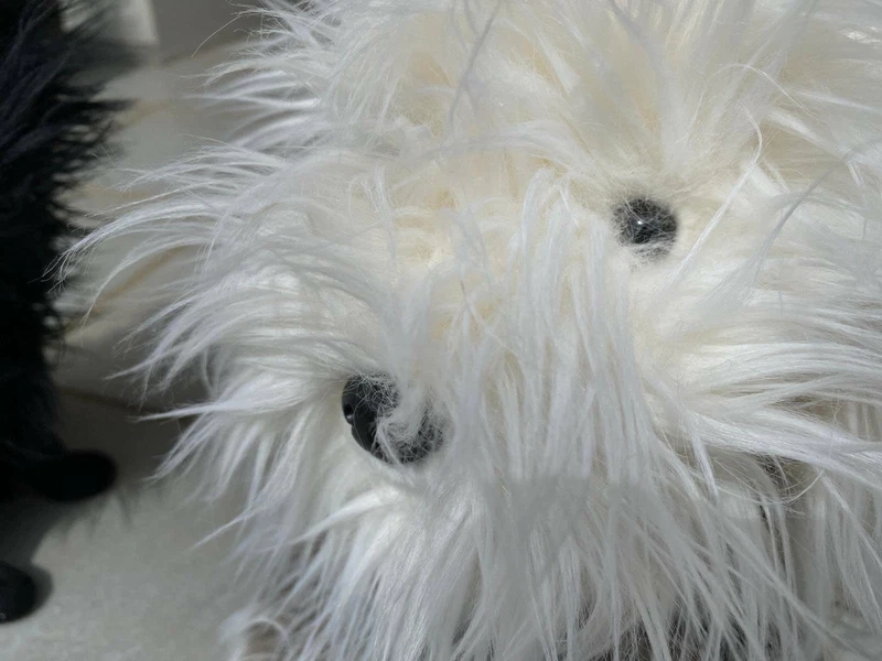 hairy maclary soft toy dog