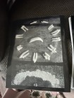 Morbid Curiosity Magazine #6 2002 Goth Dark Horror Exploit Fanzine Indie CLEAN — photo 2