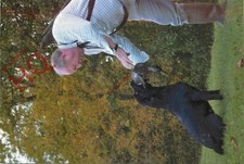 Picture Postcard__Dog, Tuffies Dog Beds Advertising