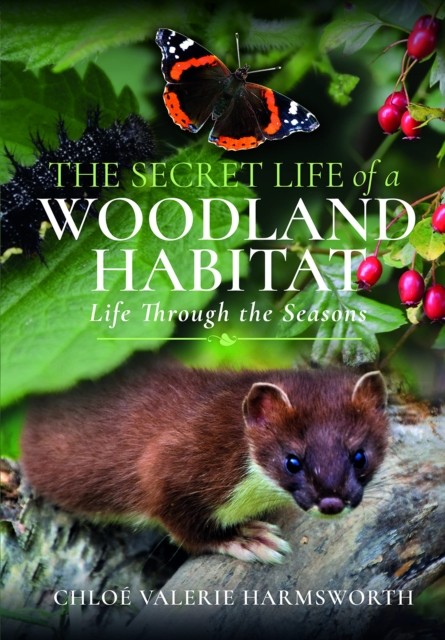 The Secret Life of a Woodland Habitat by Chloe Valerie Harmsworth