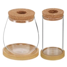 2Pcs Plant Propagation Vases Glass Terrariums Cork Lid Planter Glass Vases
