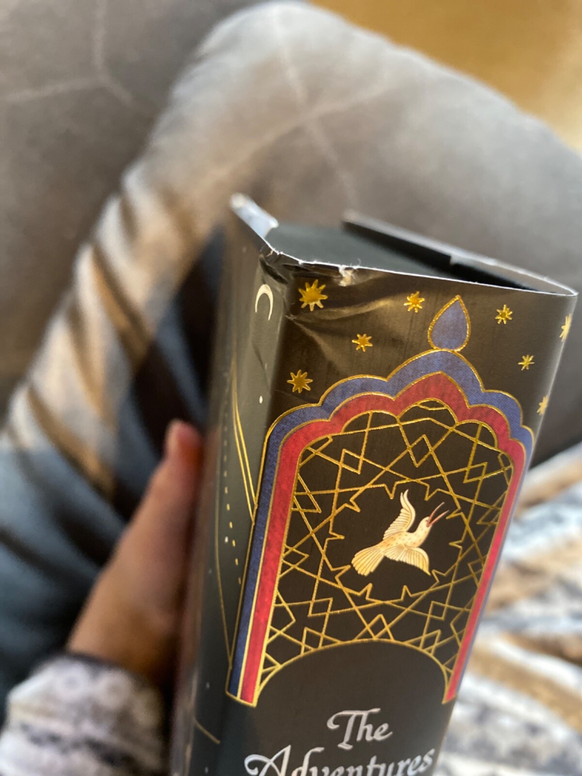 the adventures of amina alsirafi fairyloot special edition. signed eBay