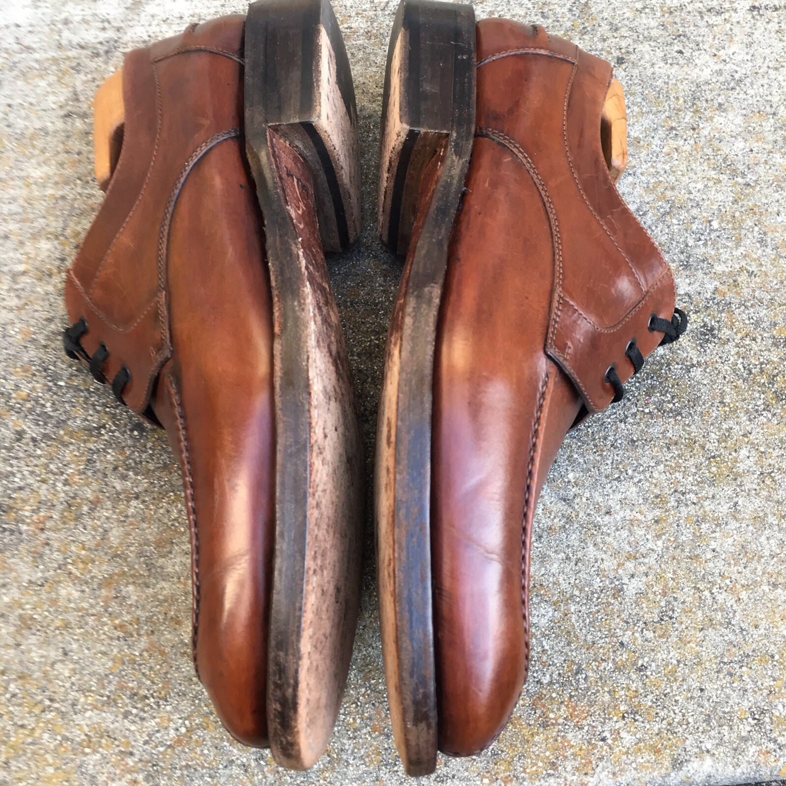 SAOLA Scarpa Oxford stringata Cole Haan da uomo taglia 8 5 marrone chiaro pelle punta divisa suola cuoio