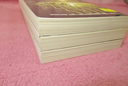 FERN MICHAELS Build-A-Lot - The Sisterhood + Men Of The Sisterhood +Godmothers+ - Foto 127 di 429