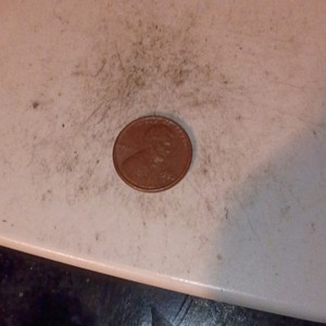 Lincoln Memorial Small Cent Penny One Cent Ungraded Uncertified Waighs3.1 Copper
