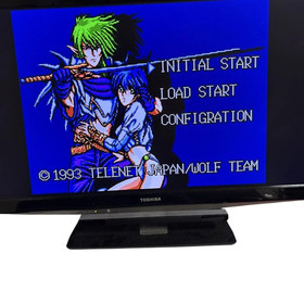 ARCUS 1, 2, 3 for Mega CD and ARCUS I, II, III for Mega Drive  So