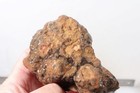 India King Cobra Lapidary 12.1 rough lot #4 — photo 8