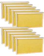 10 Pack Bee Frames Deep - Bee Hive Frames and Wax Foundations Yellow Beehive Fra