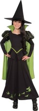 Rubie's Child's Wizard of Oz Wicked Witch of The West Costume