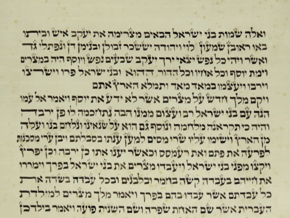 LARGE RARE TORAH BIBLE MANUSCRIPT VELLUM LEAF 150 years old from Italy Exodus. - Image 4 of 4