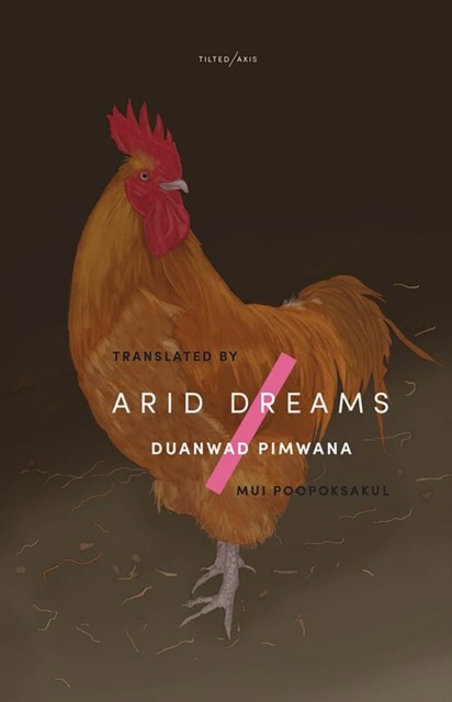 Arid Dreams - Image 3