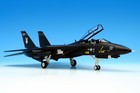 Century Wings Grumman F-14A Tomcat USN VX-4 Vandy 1/Black Bunny, 1/72, CW-001642 — photo 6