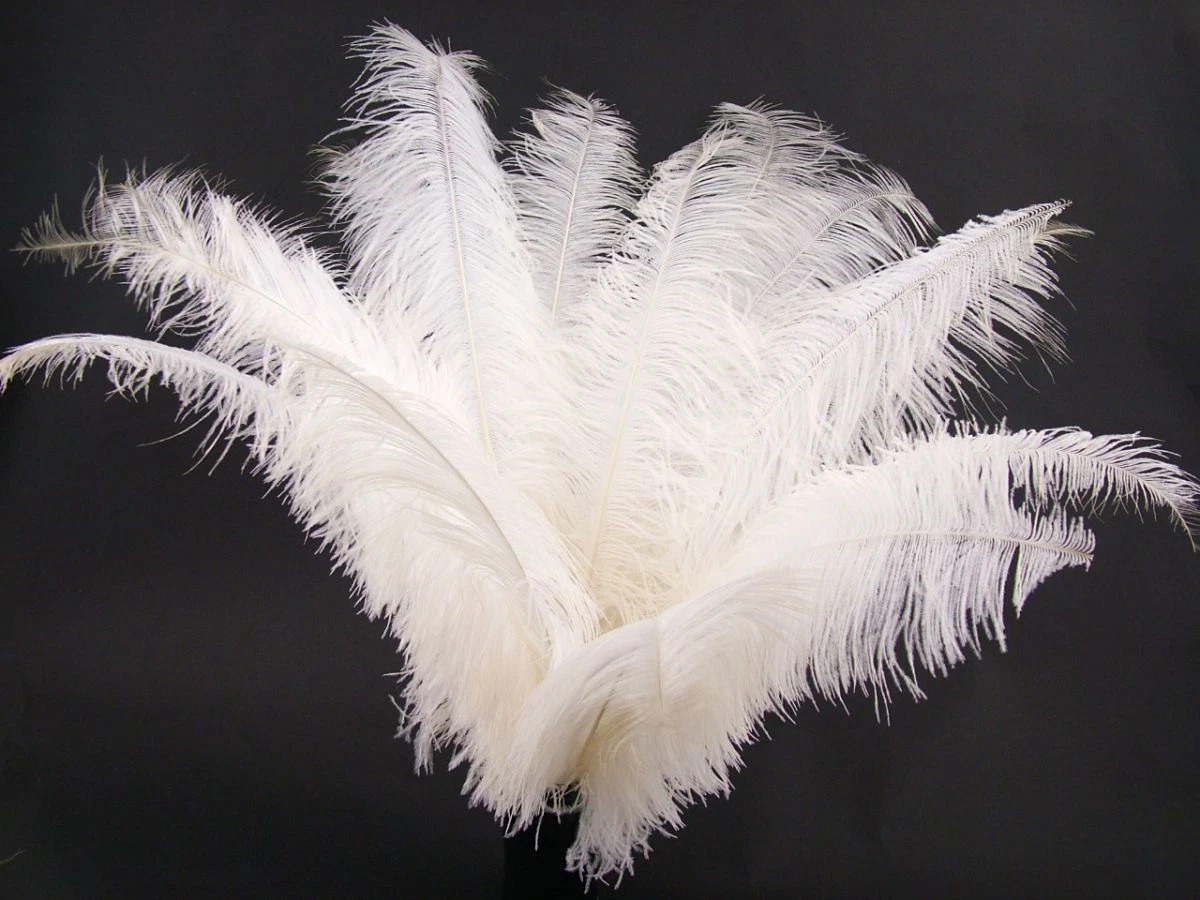 Ostrich Feather 12pc/bag 13-15 - White