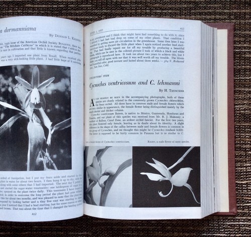 RARE BOUND 12-Issues 1957 American Orchid Society Bulletin Volume 26: COMPLETE - Picture 7 of 10