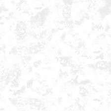 Wilmington Haze-108 Extra Wide Backing - Mottled Texture Whitewhite 4557-100