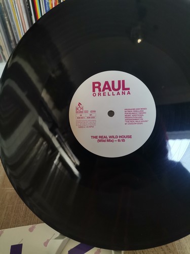 HOUSE 12" VINYL COLLECTION x 7 LATE 80s EARLY 90s OLDSKOOL RAVE DESKEE TEN CITY - Imagen 16 de 23