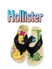 Hollister Waxer Mascot Y2K Mens Flip Flops Size 10/11 Pre-owned Rare HTF 