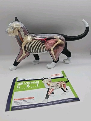 4D Vision Master Cat Anatomy Model Black White
