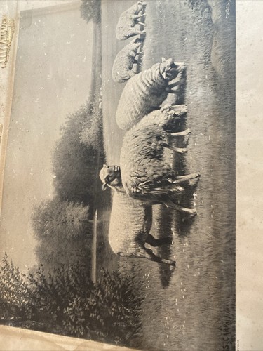 c1900 Print S.S. Carr copyright by the Taber&Prang Art Co. - Picture 16 of 16