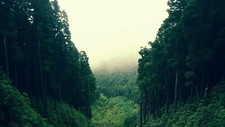 Landscape forest clearing trees Custom Gaming Mat Desk
