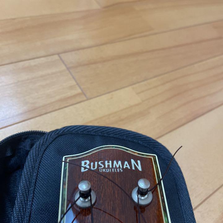 BUSHMANソプラノウクレレ fseb1-tu.jpg