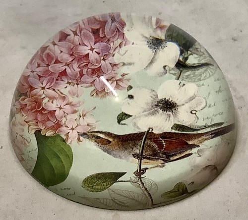 Vintage Ganz Glaskuppel Kunstdruck Briefbeschwerer Vogel Hartriegel Kirschblüte - Bild 2 von 4