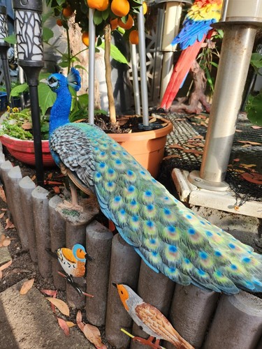 Arts vifs décoration de jardin paon très détaillée ornement statue oiseaux - Photo 4 sur 13