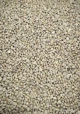 10 Pounds Premium, Unroasted, Columbian, Green Coffee Beans by Colony Coffee