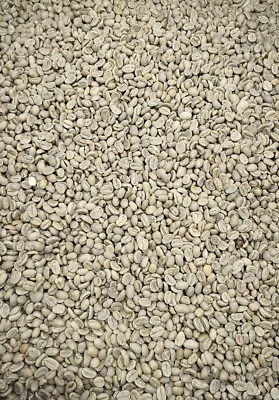 100 PERCENT GREEN COLUBIAN COFFEE BEANS 10 Pounds Premium, Unroasted, Columbian, Green Coffee Beans by Colony Coffee