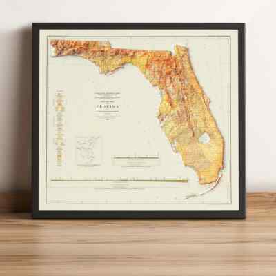 Florida Map, Florida 2D Relief Map, Florida Vintage Map - 2D Flat Print