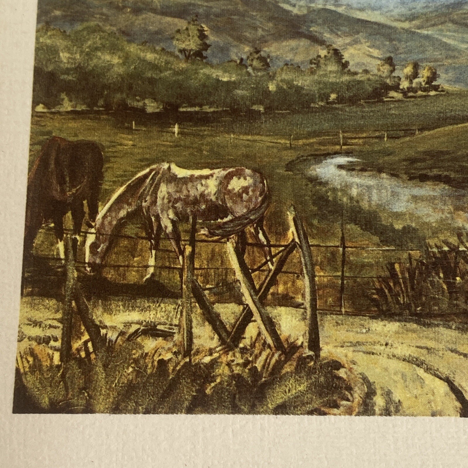 Picture 4 of 7