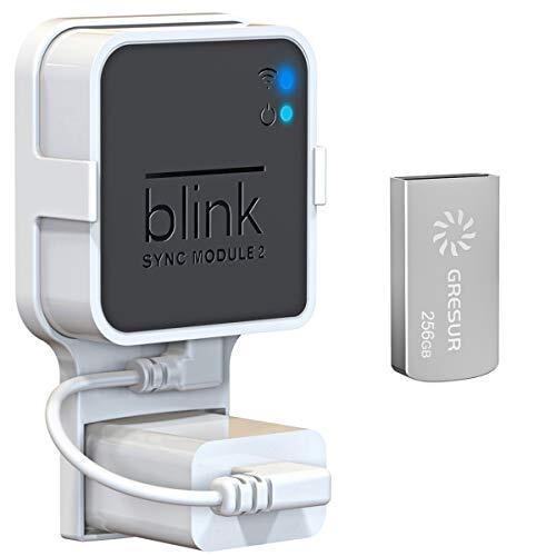 256GB USB Flash Drive for Local Video Storage with The Blink Sync Module 2 Mo...-image