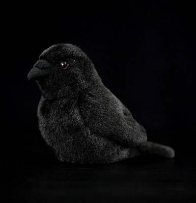 Crow Peluche De Raven Baby Raven Crow Bird Inch Stuffed Animal