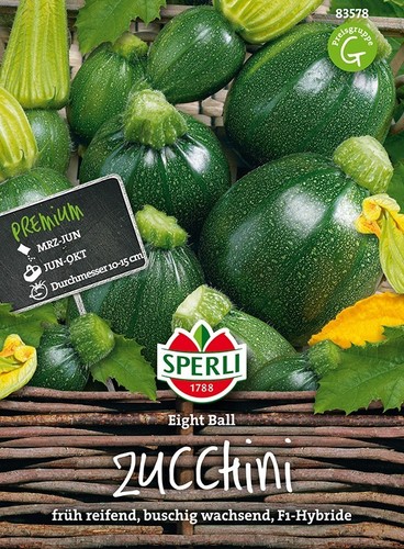 MHD 01.2026 Sperli calabacín ocho bolas F1 híbrido, bola de billar semillas grandes - Imagen 1 de 2