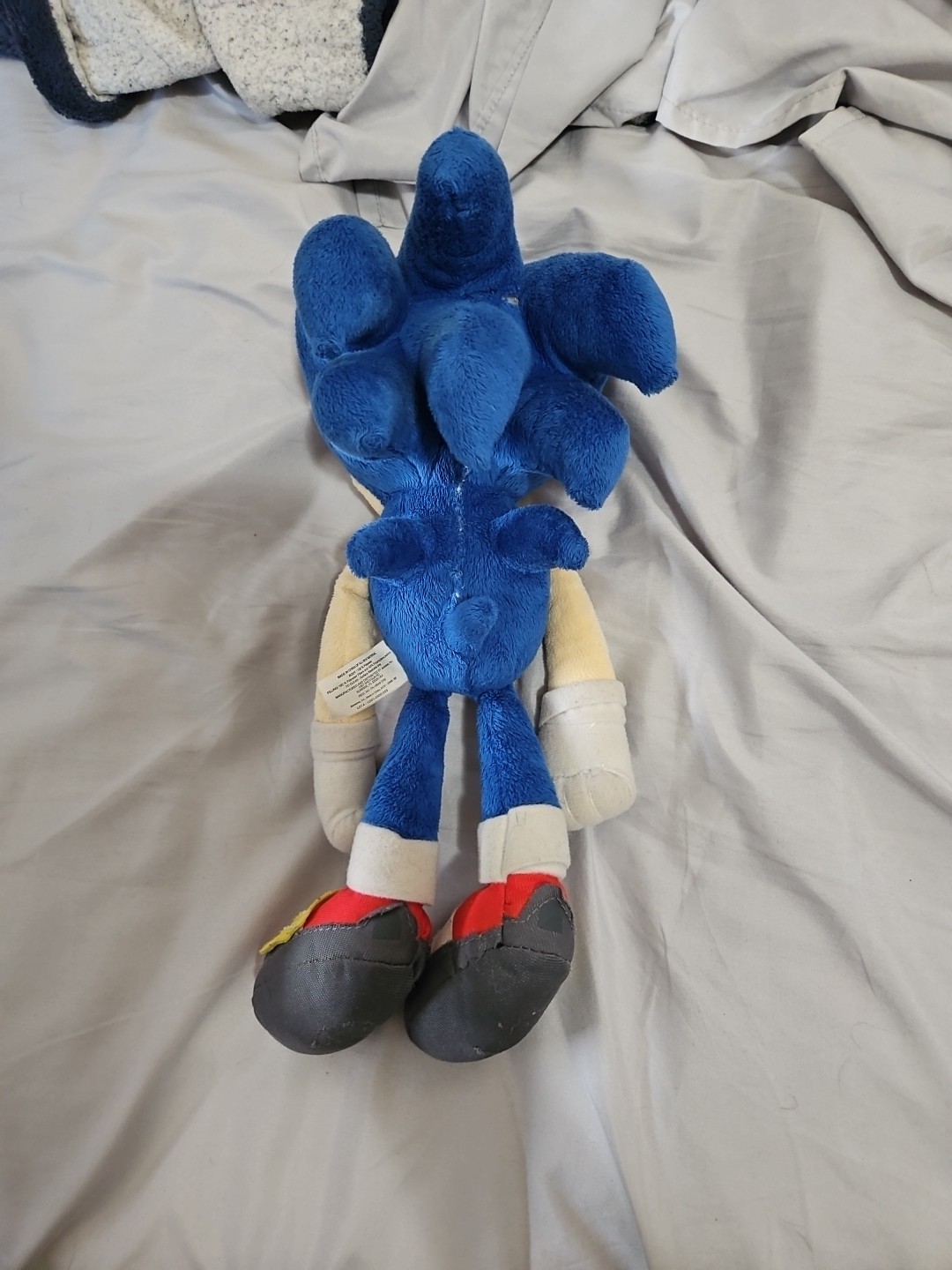 Picture 5 of 11