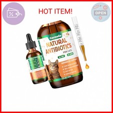Natural Antibiotics for Cats Cat Antibiotics for Allergy Relief, Urinary Tract