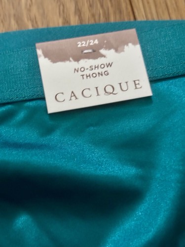 Plus Sz 22/24 Lane Bryant Cacique No Show Thong Nylon Faux Satin Silk Teal Aqua - Picture 3 of 5