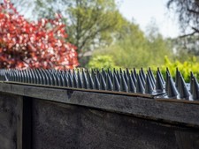 black 50m-10pcs Fence Wall Spikes Garden  Intruder Repellent Burglar  Climb Bird