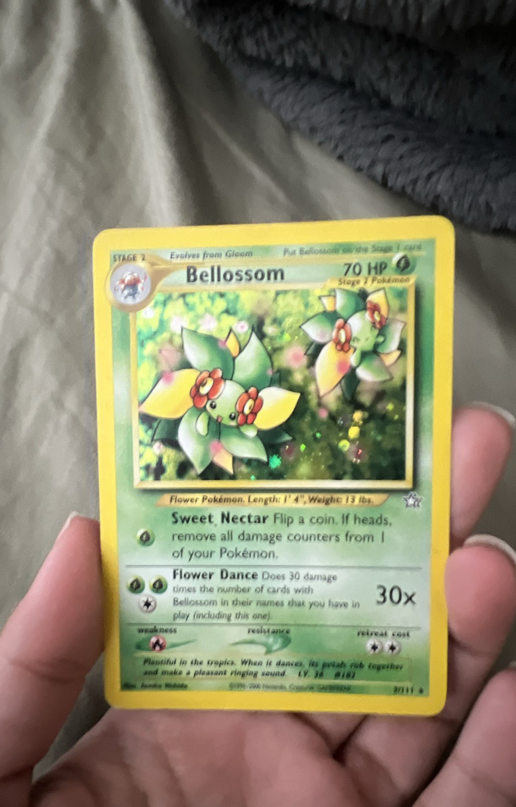 Bellossom 3/111 Neo Genesis Holo
