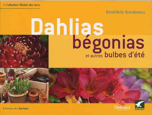 Dalias,Begonias,Gladiolo Y Otros Bulbos Verano - LP