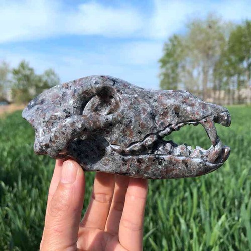 Calavera de cristal tallada a mano de cuarzo piedra llama natural 400 g Reiki.XK3432 - Imagen 16 de 16
