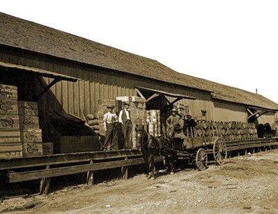 1910's Freight Train Depot Texas Central Railroad Picture Poster Photo 4x6