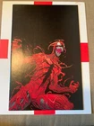 Amazing Spider-Man #796 Marvel Comics Virgin Variant NM